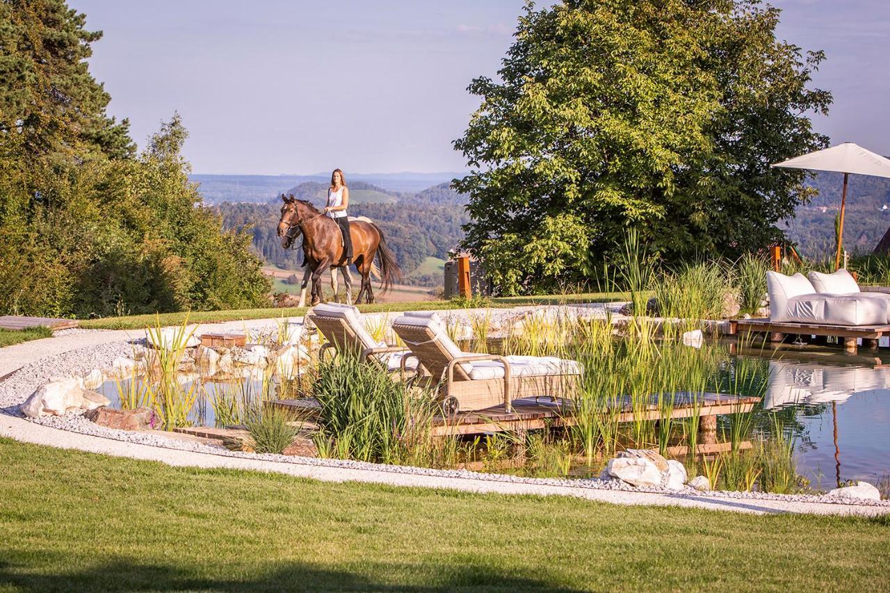Golden Hill Country Chalets & Suites Waldschach Esterno foto